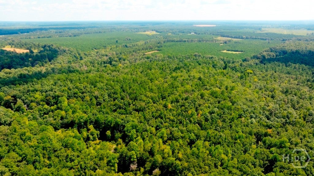 Photo of 3480 GA Hwy 56 N, Waynesboro, GA 30830 (MLS # SA364185)