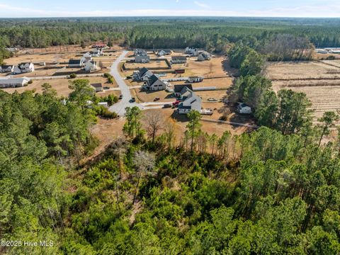 Tiny photo for 12 Michelle Ward Lane, Maple Hill, NC 28454 (MLS # 100546433)