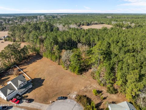 Tiny photo for 12 Michelle Ward Lane, Maple Hill, NC 28454 (MLS # 100546433)