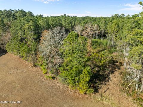 Tiny photo for 12 Michelle Ward Lane, Maple Hill, NC 28454 (MLS # 100546433)