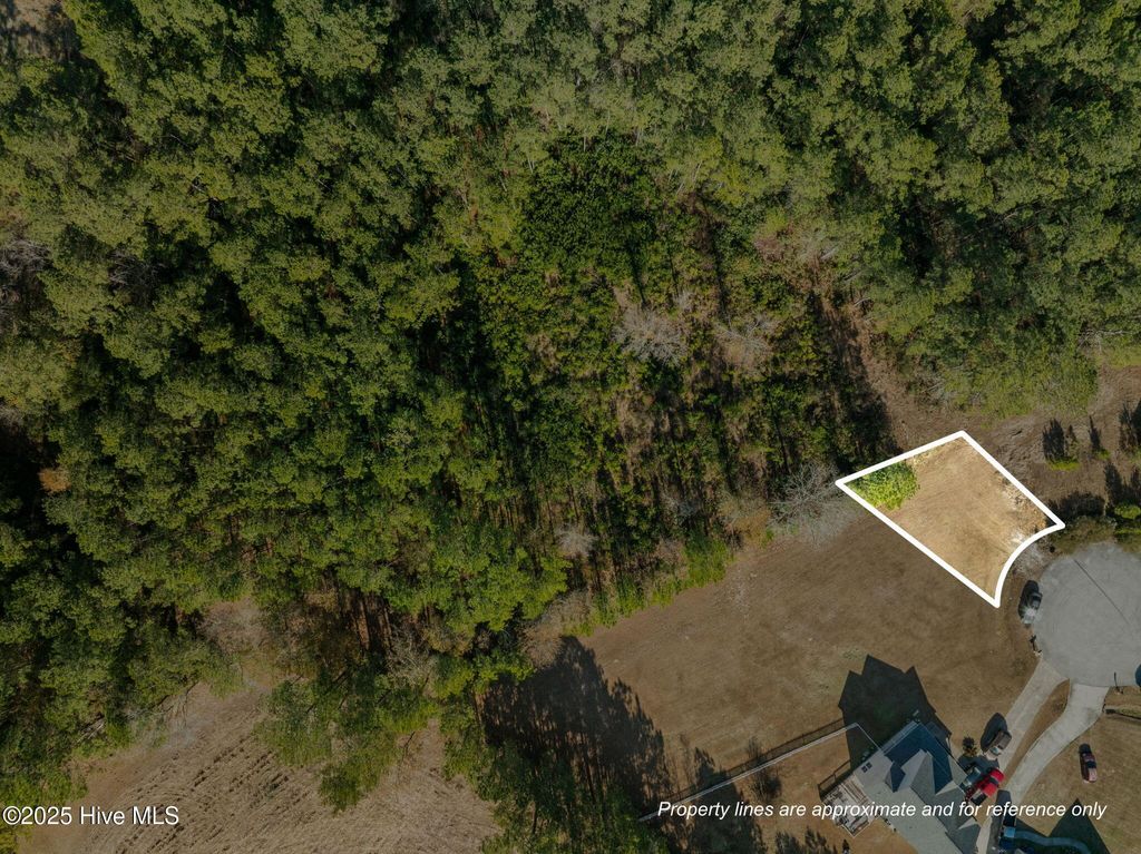 Photo of 12 Michelle Ward Lane, Maple Hill, NC 28454 (MLS # 100546433)