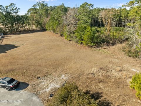 Tiny photo for 12 Michelle Ward Lane, Maple Hill, NC 28454 (MLS # 100546433)