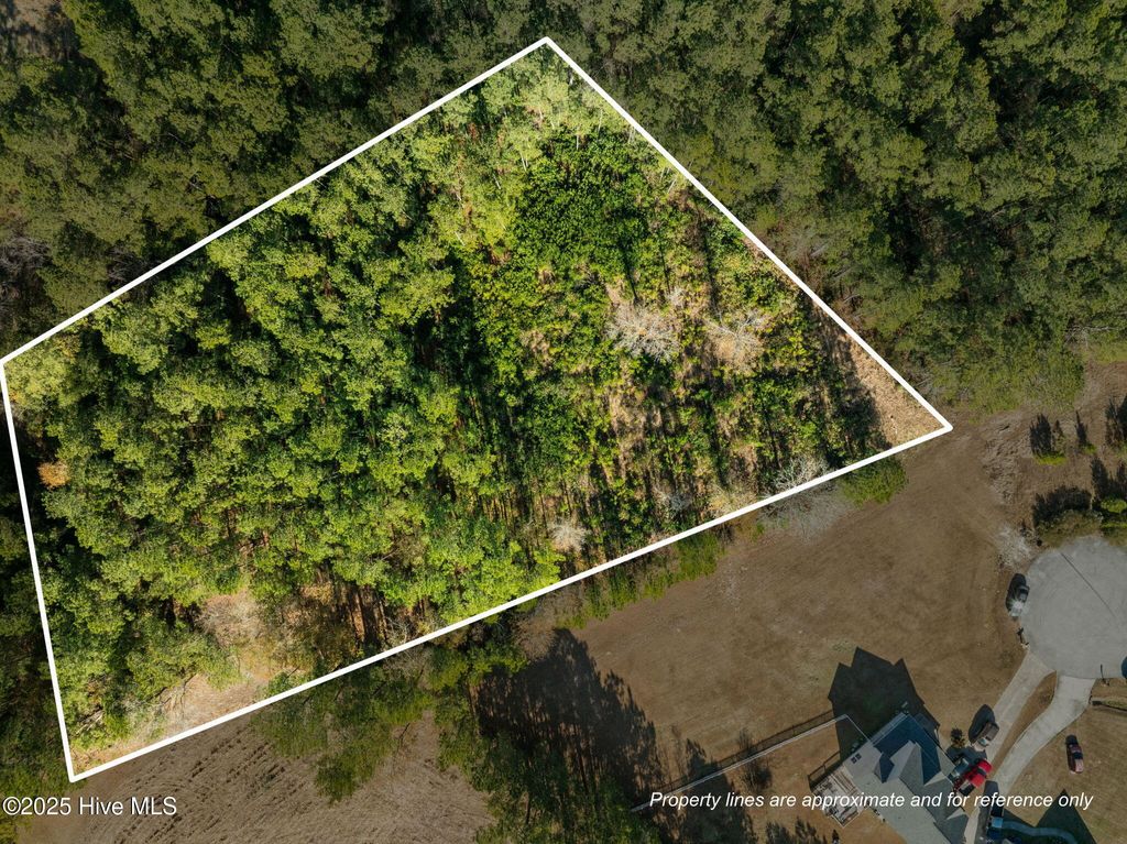 Photo of 12 Michelle Ward Lane, Maple Hill, NC 28454 (MLS # 100546433)