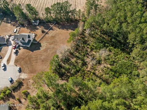 Tiny photo for 12 Michelle Ward Lane, Maple Hill, NC 28454 (MLS # 100546433)