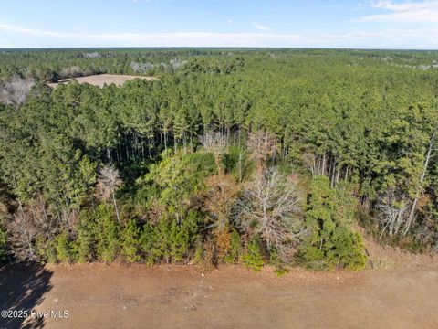 Tiny photo for 12 Michelle Ward Lane, Maple Hill, NC 28454 (MLS # 100546433)