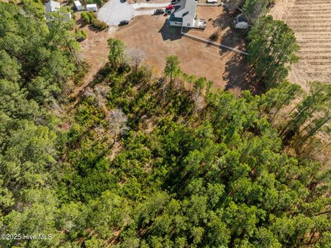 Tiny photo for 12 Michelle Ward Lane, Maple Hill, NC 28454 (MLS # 100546433)