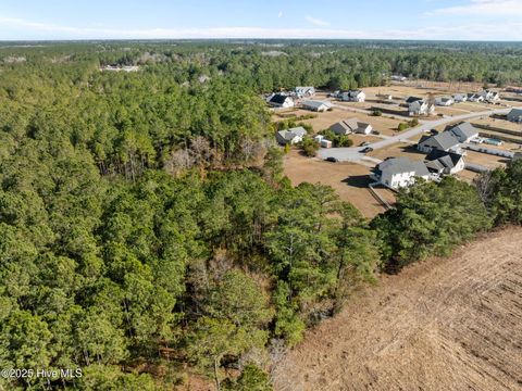 Tiny photo for 12 Michelle Ward Lane, Maple Hill, NC 28454 (MLS # 100546433)