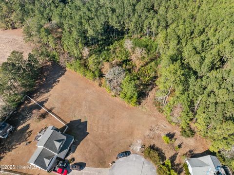 Tiny photo for 12 Michelle Ward Lane, Maple Hill, NC 28454 (MLS # 100546433)