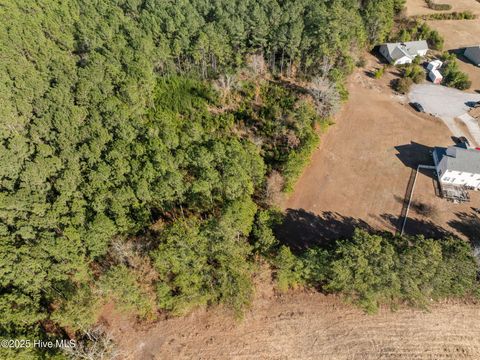 Tiny photo for 12 Michelle Ward Lane, Maple Hill, NC 28454 (MLS # 100546433)