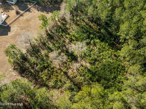 Tiny photo for 12 Michelle Ward Lane, Maple Hill, NC 28454 (MLS # 100546433)