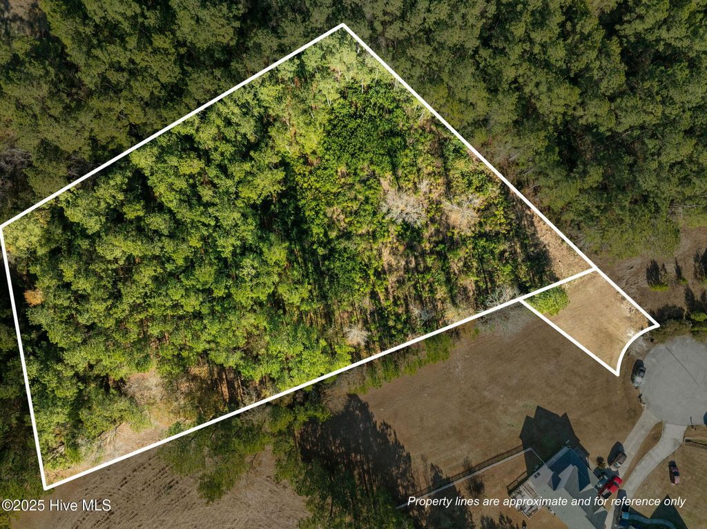 Photo of 12 Michelle Ward Lane, Maple Hill, NC 28454 (MLS # 100546433)