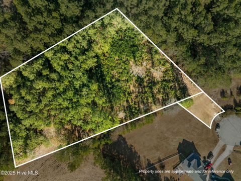 Photo of 12 Michelle Ward Lane, Maple Hill, NC 28454 (MLS # 100546433)