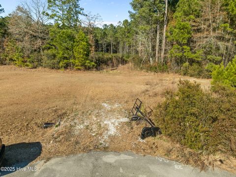 Tiny photo for 12 Michelle Ward Lane, Maple Hill, NC 28454 (MLS # 100546433)
