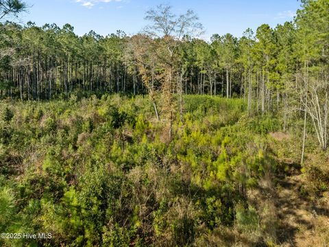 Tiny photo for 12 Michelle Ward Lane, Maple Hill, NC 28454 (MLS # 100546433)