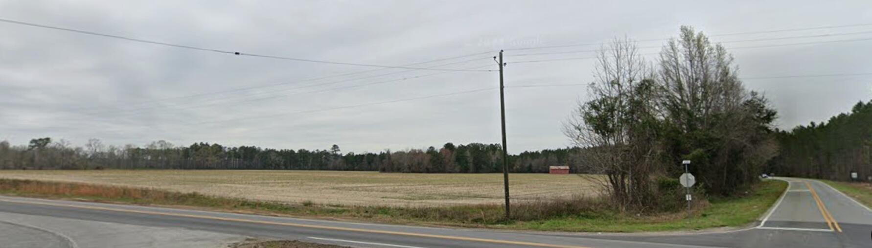 20945 Georgia 46