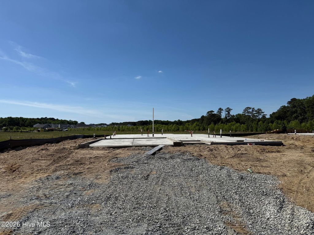 Photo of 37 Fiddleneck Court, Selma, NC 27576 (MLS # 100570663)