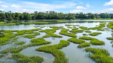 Tiny photo for 801 Oyster Landing, Wilmington, NC 28405 (MLS # 100587321)