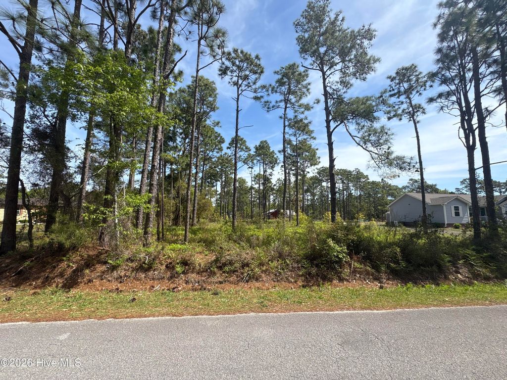 Photo of 1045 Springdale Road, Southport, NC 28461 (MLS # 100566727)