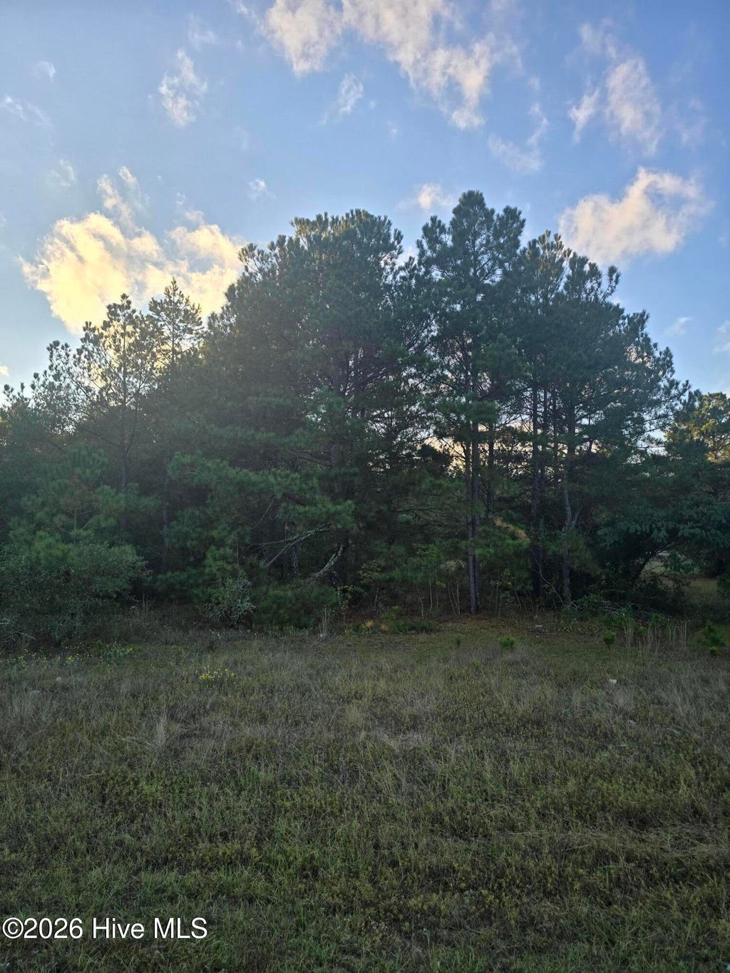 Photo of Tbd Highway 25/Tower View Dr, Trenton, SC 29847 (MLS # 100610613)