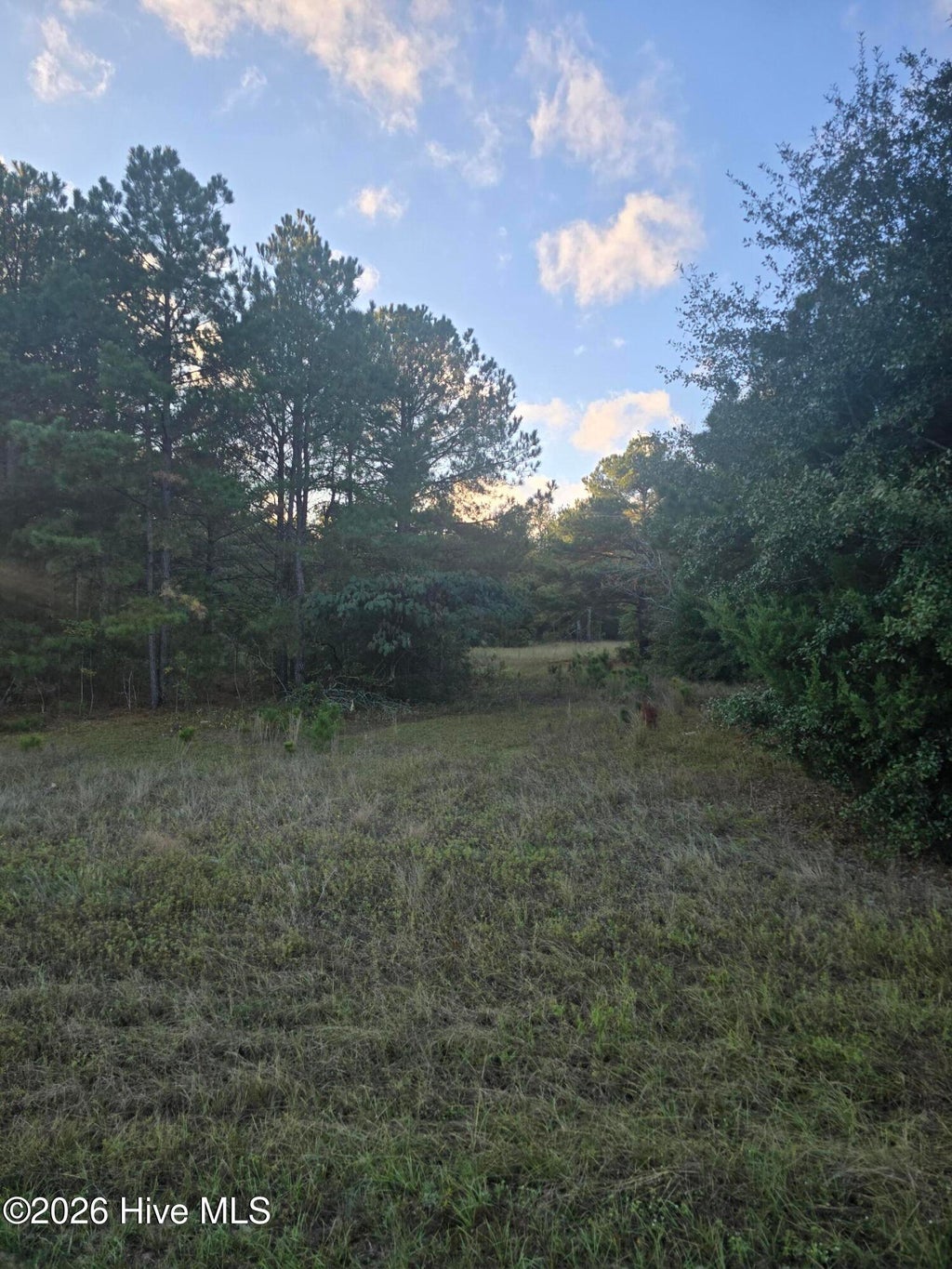 Photo of Tbd Highway 25/Tower View Dr, Trenton, SC 29847 (MLS # 100610613)