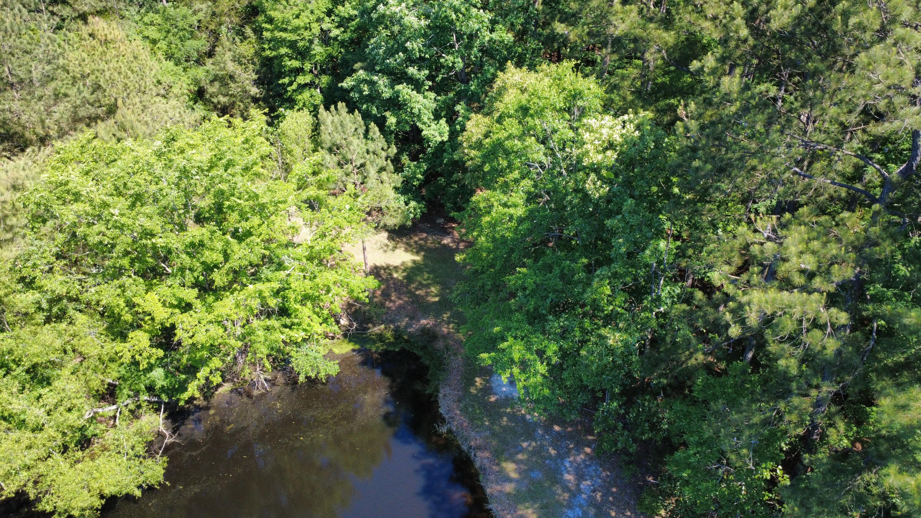 11.37 Ac Hwy 220 E