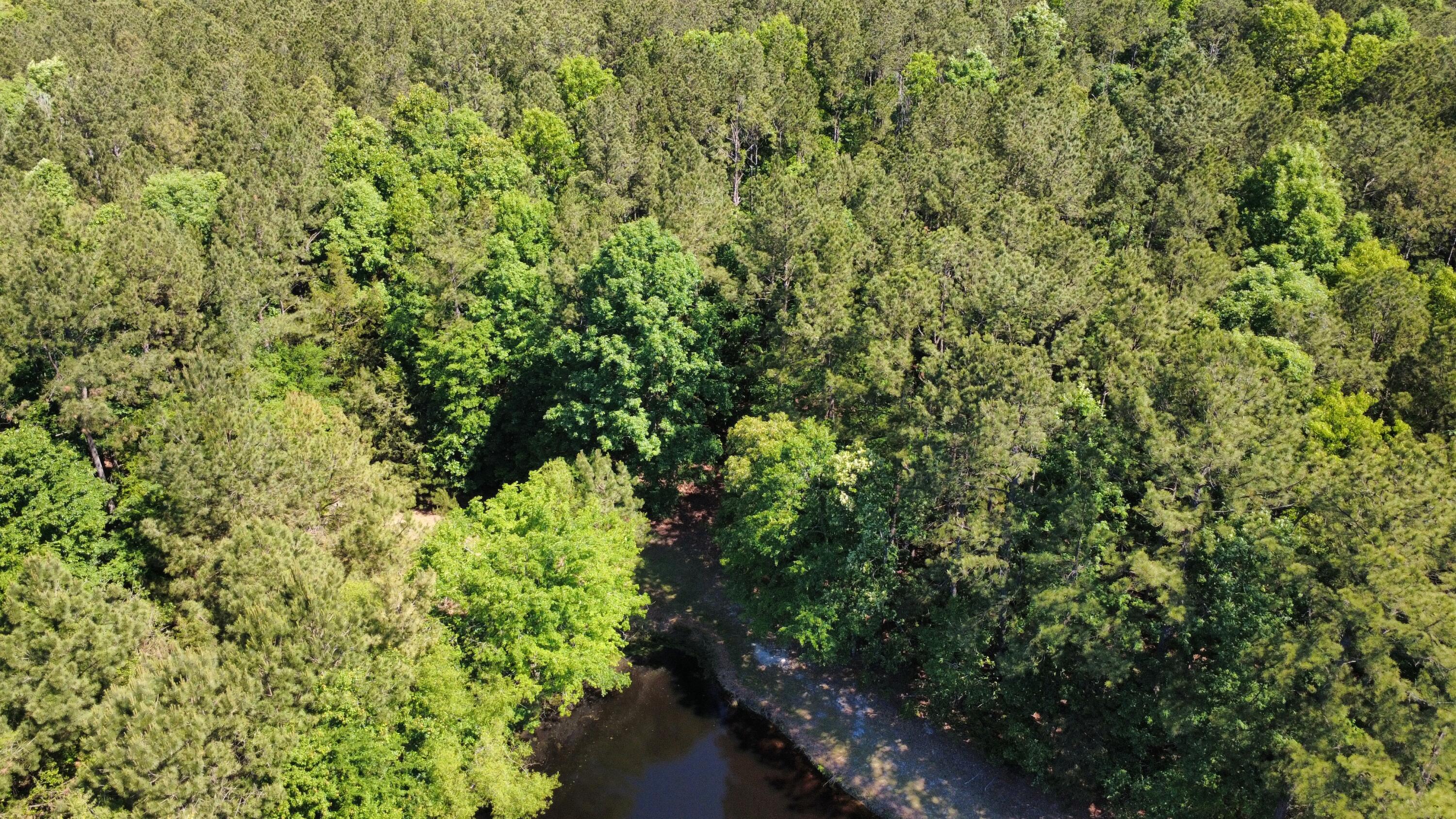 11.37 Ac Hwy 220 E