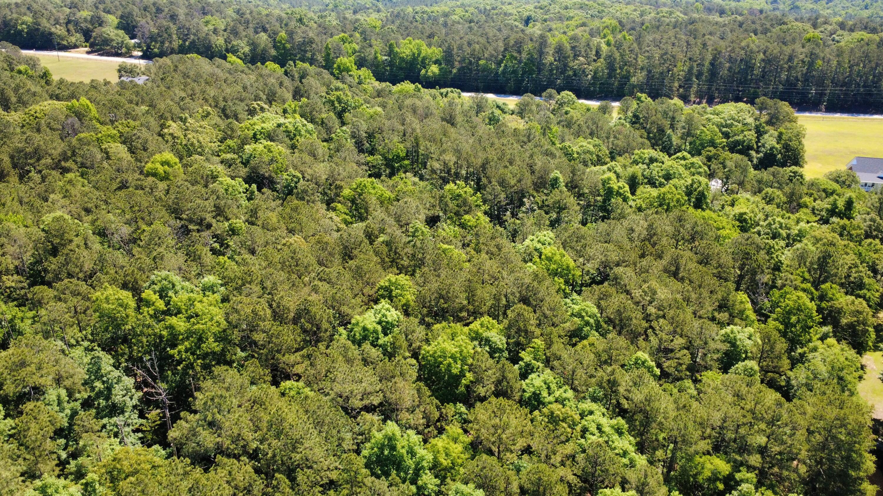 11.37 Ac Hwy 220 E