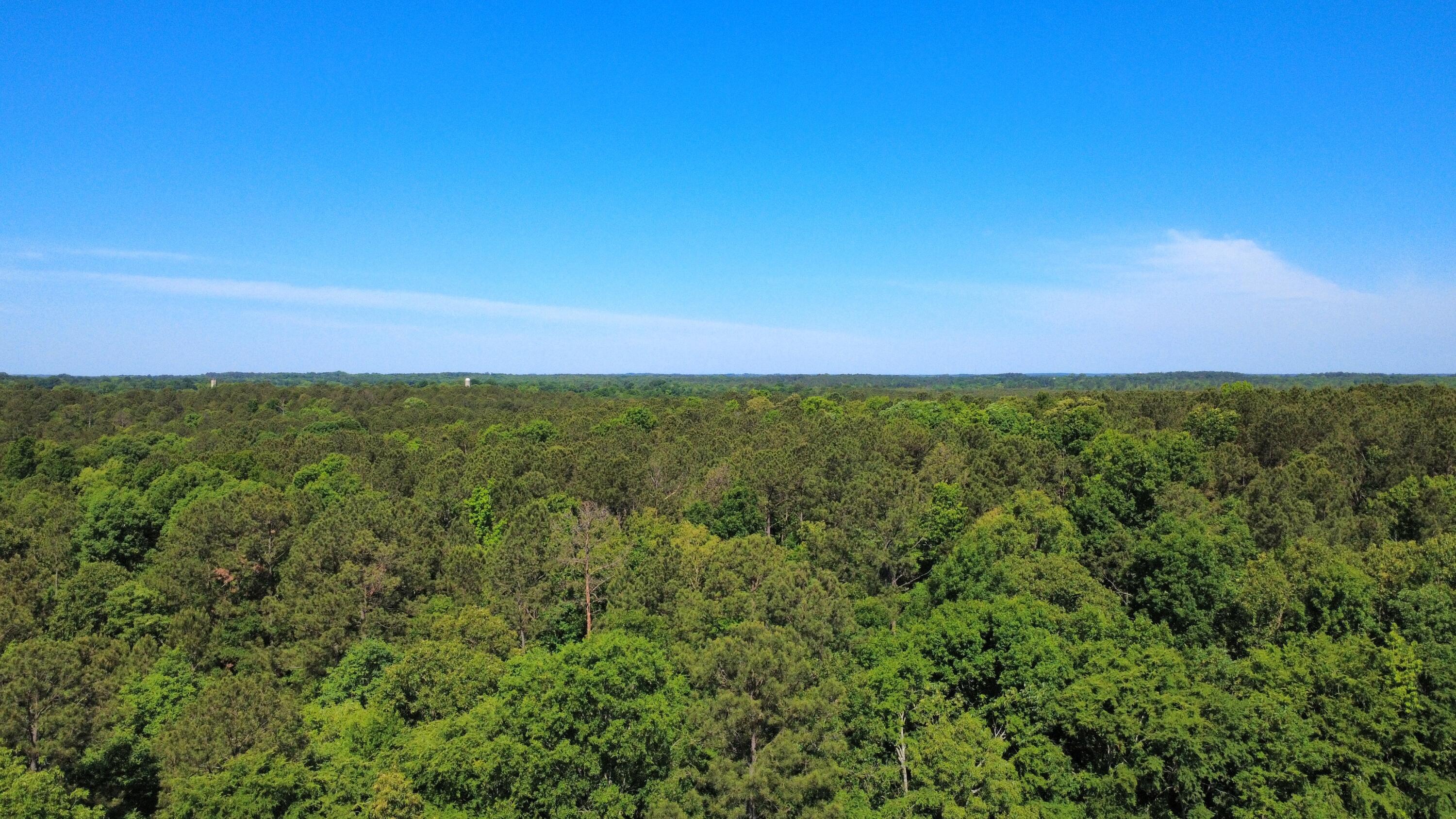 11.37 Ac Hwy 220 E