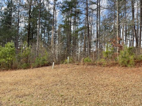 Vacant Land For Sale - LOT L-22 Militia Loop<br/> Edgefield County, North Augusta, SC 29860