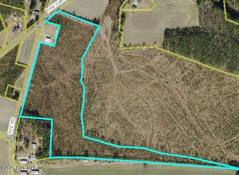 Vacant Land For Sale - 0000 Tice Road<br/> Williamston, NC 27892