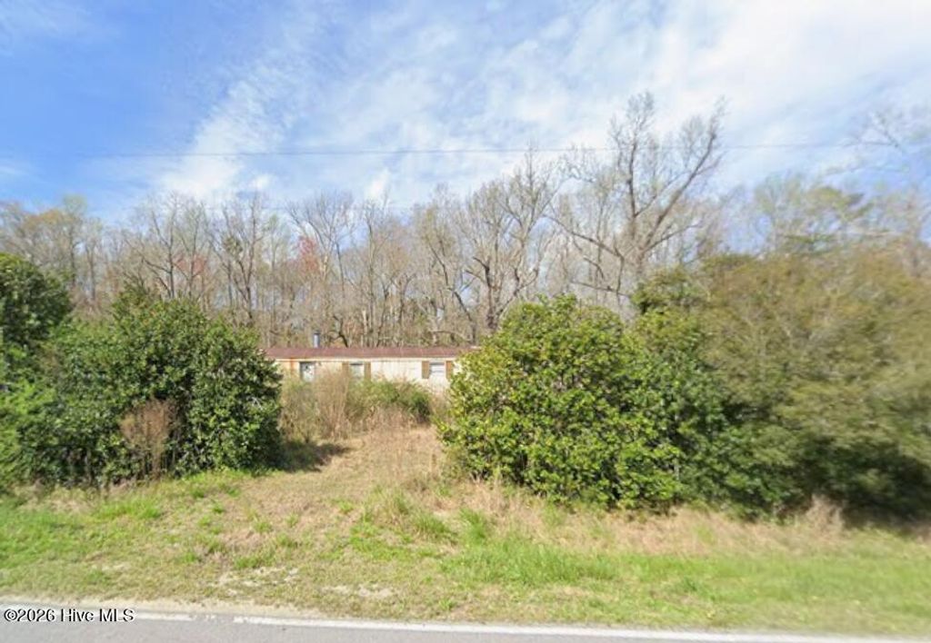 Photo of 208 Neals Creek Road, Bayboro, NC 28515 (MLS # 100583997)