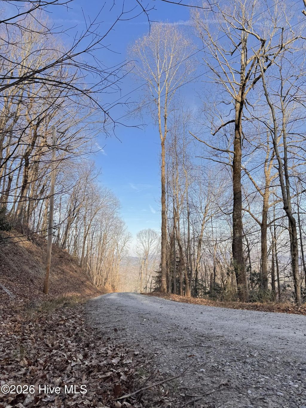 Photo of 1617 Ridgecrest Drive, Lake Lure, NC 28746 (MLS # 100571176)