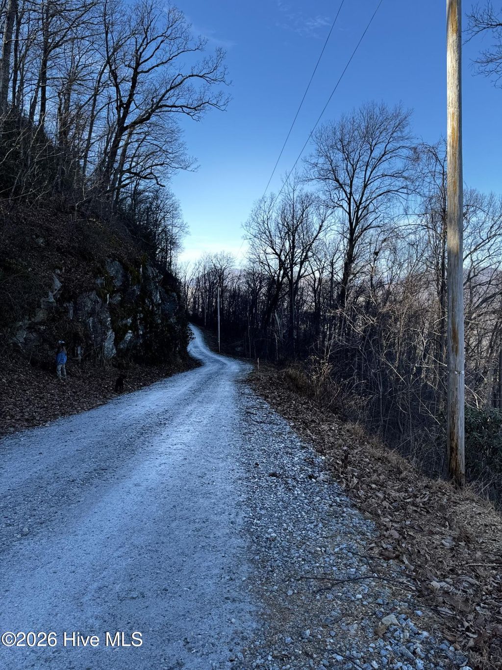 Photo of 1617 Ridgecrest Drive, Lake Lure, NC 28746 (MLS # 100571176)