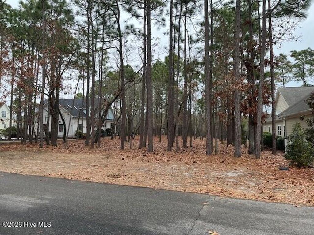Photo of 2946 Irwin Drive SE, Southport, NC 28461 (MLS # 100552971)
