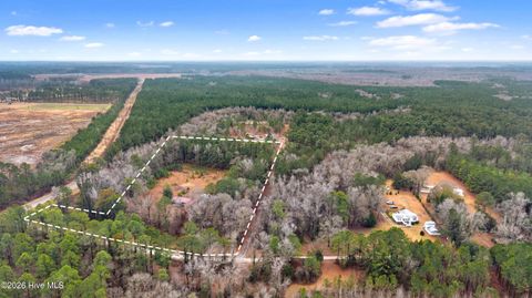 Tiny photo for 65 Old Blakes Bridge Road, Burgaw, NC 28425 (MLS # 100550331)