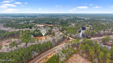 Tiny photo for 65 Old Blakes Bridge Road, Burgaw, NC 28425 (MLS # 100550331)