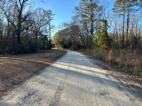 Tiny photo for 65 Old Blakes Bridge Road, Burgaw, NC 28425 (MLS # 100550331)
