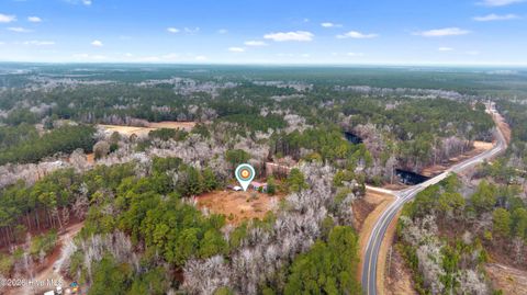 Tiny photo for 65 Old Blakes Bridge Road, Burgaw, NC 28425 (MLS # 100550331)