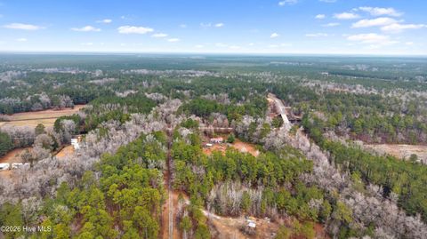 Tiny photo for 65 Old Blakes Bridge Road, Burgaw, NC 28425 (MLS # 100550331)