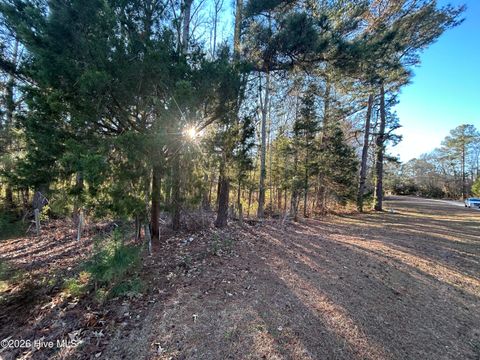Tiny photo for 65 Old Blakes Bridge Road, Burgaw, NC 28425 (MLS # 100550331)