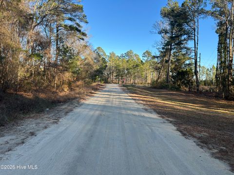 Tiny photo for 65 Old Blakes Bridge Road, Burgaw, NC 28425 (MLS # 100550331)