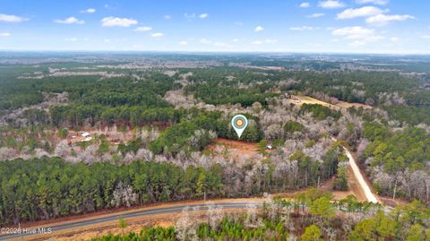 Tiny photo for 65 Old Blakes Bridge Road, Burgaw, NC 28425 (MLS # 100550331)