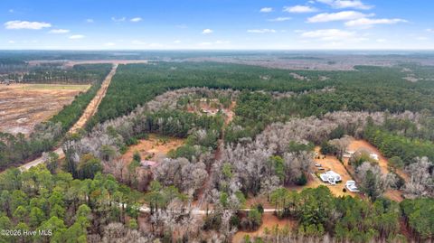 Tiny photo for 65 Old Blakes Bridge Road, Burgaw, NC 28425 (MLS # 100550331)