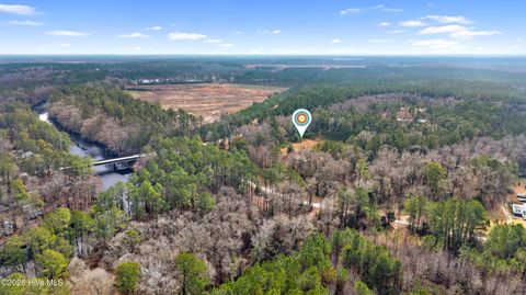 Tiny photo for 65 Old Blakes Bridge Road, Burgaw, NC 28425 (MLS # 100550331)
