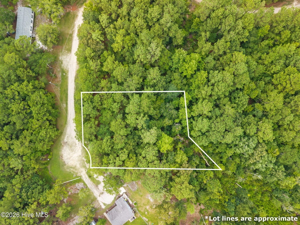 Photo of 2198 Woodard Road NW, Supply, NC 28462 (MLS # 100596473)