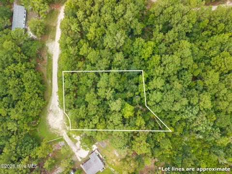 Vacant Land For Sale - 2198 Woodard Road<br/> Supply, NC 28462