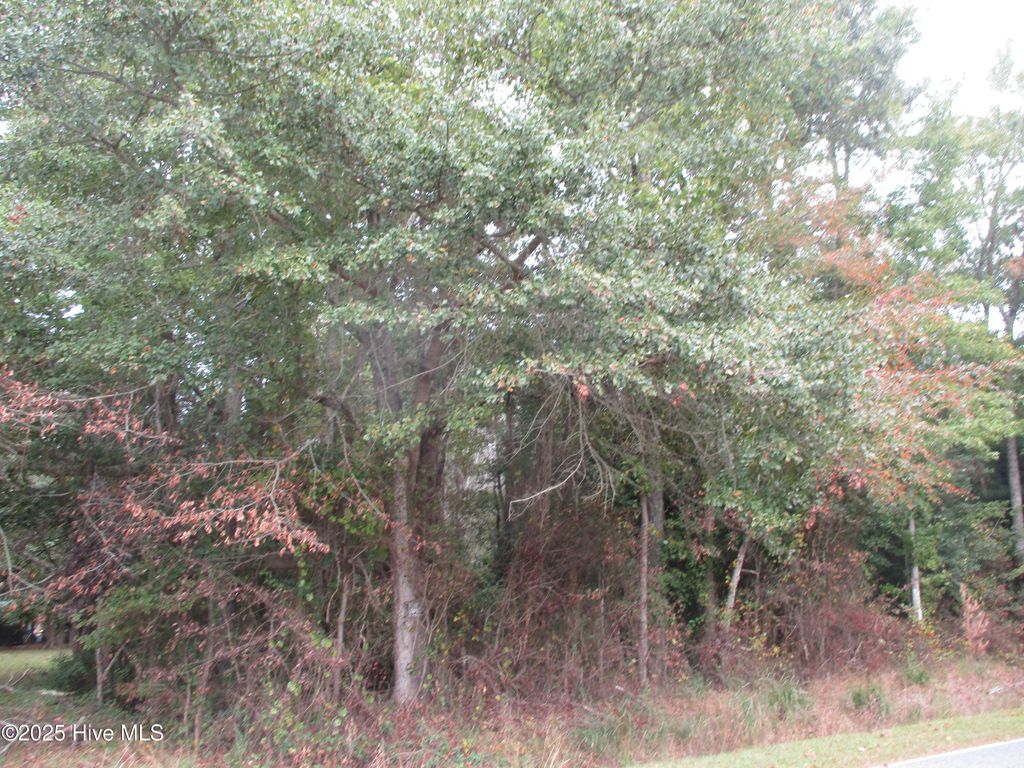 Photo of 46 Lees Mill Road Road, Gates, NC 27937 (MLS # 100533756)