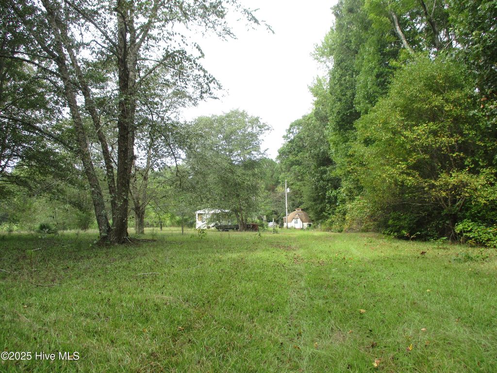 Photo of 46 Lees Mill Road Road, Gates, NC 27937 (MLS # 100533756)