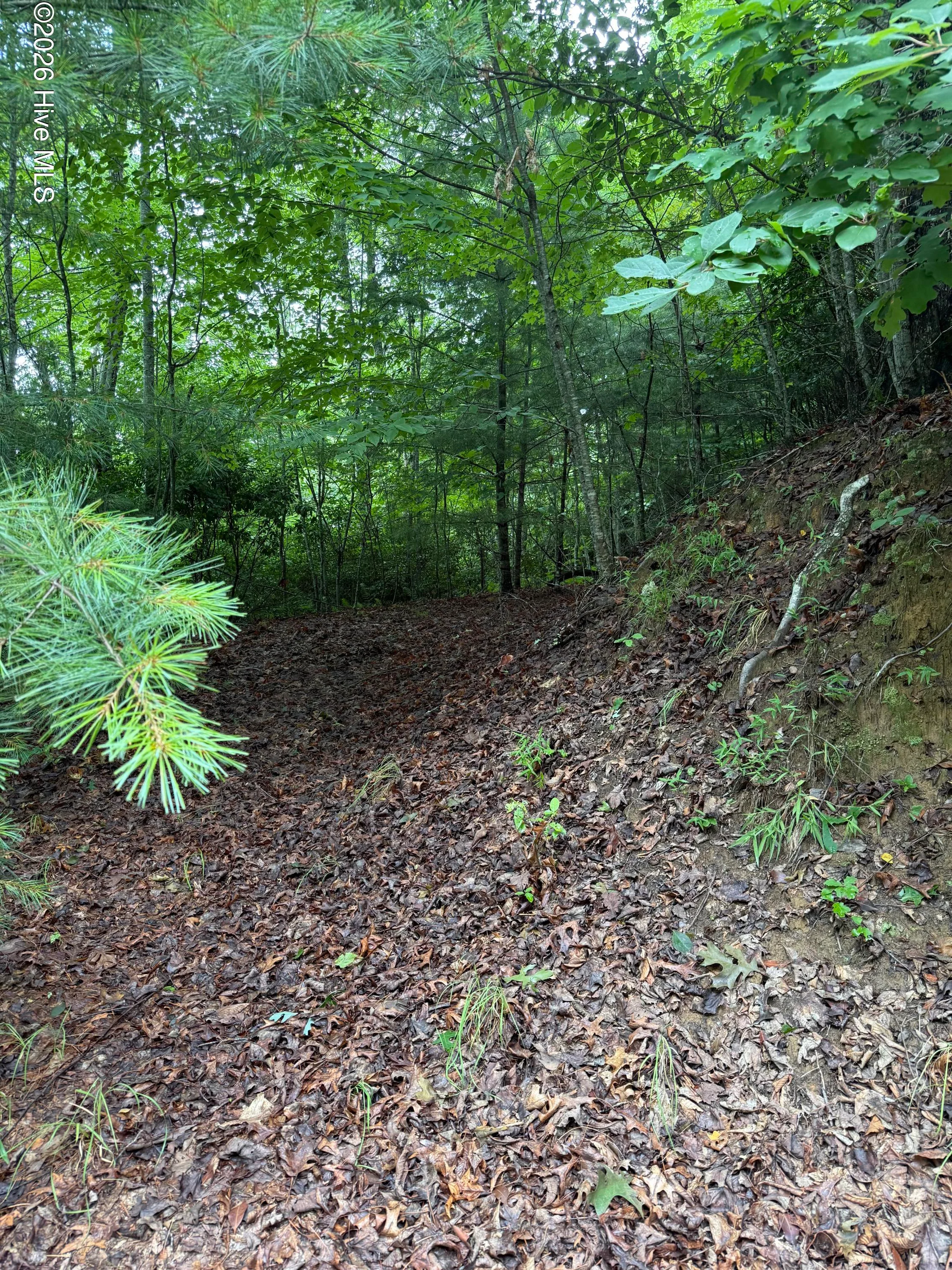 Lot 3 Mountain Vista Lane