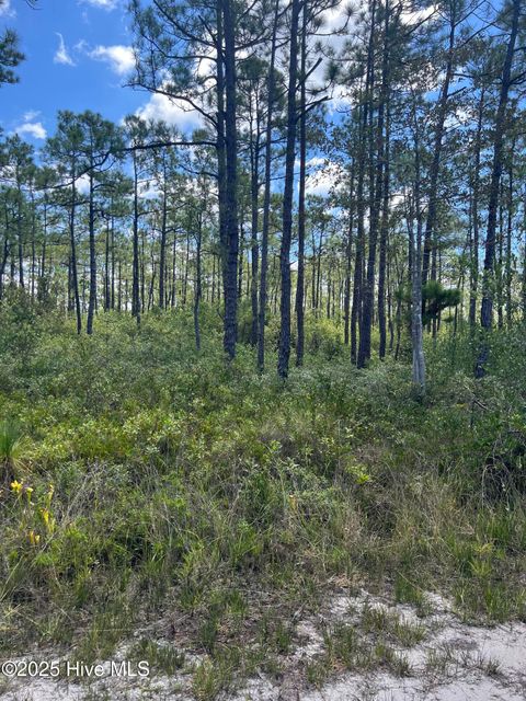 Vacant Land For Sale - 80 Bohemia Road<br/> Boiling Spring Lakes, NC 28461